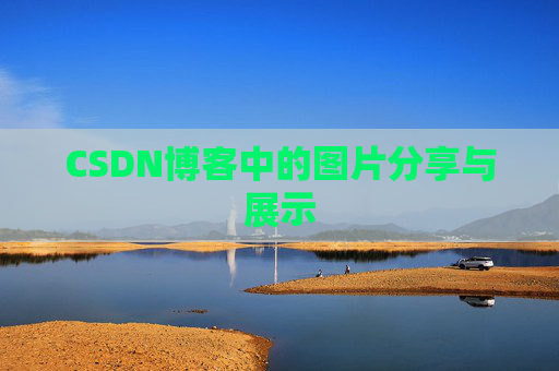 CSDN博客中的图片分享与展示